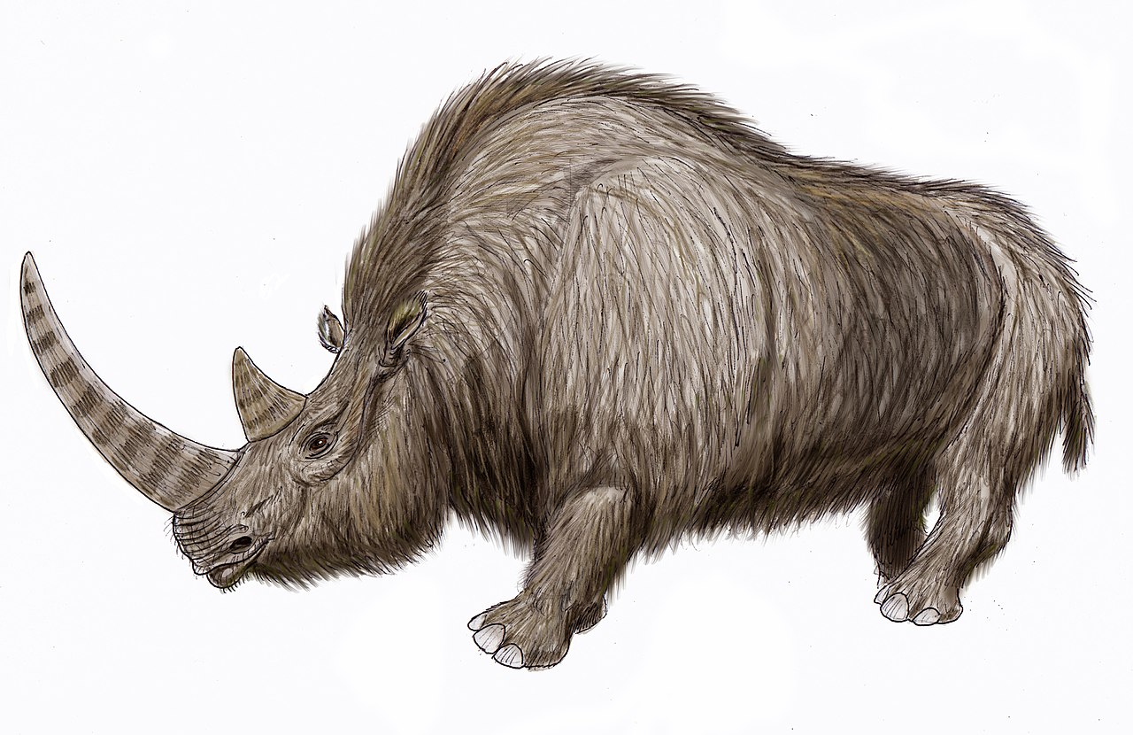 Woolly Rhinoceros by ДиБгд