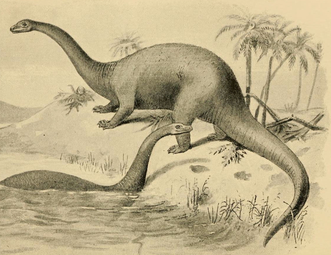 Brontosaurus by Biodiversity Heritage Library