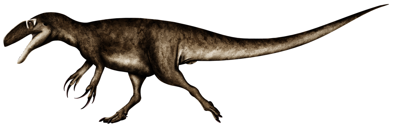 Megaraptor by PaleoNeolitic