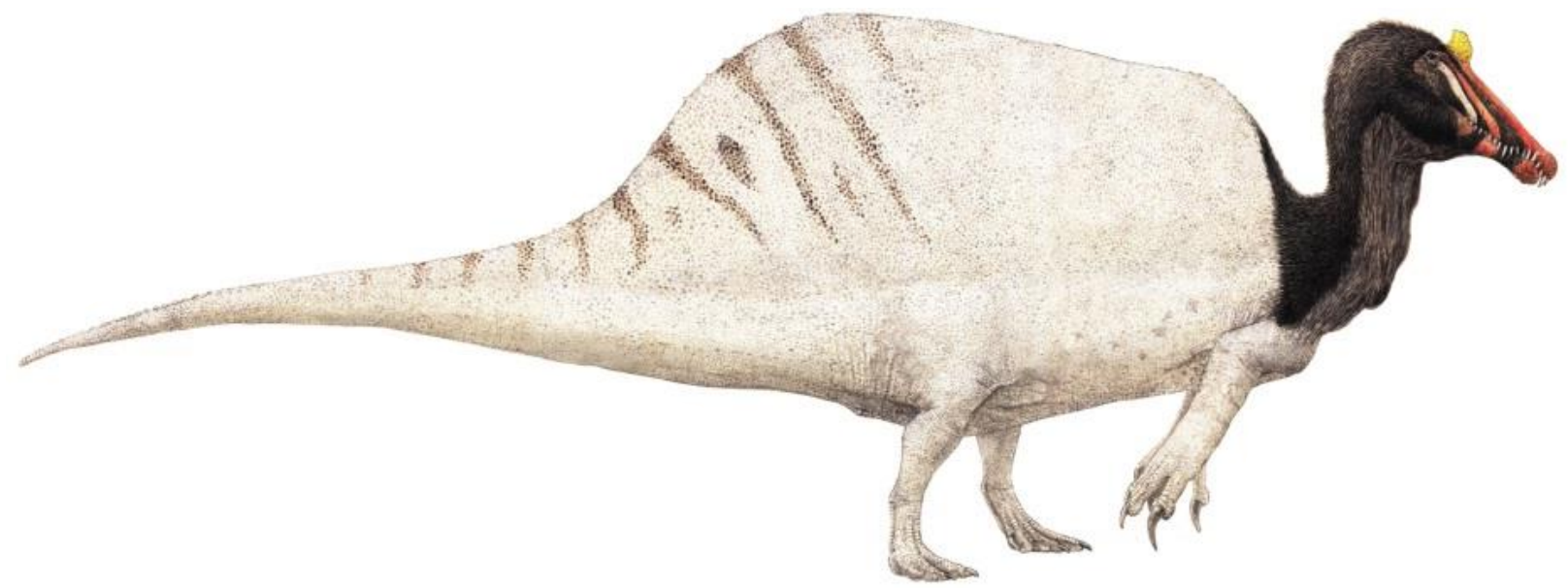 Spinosaurus by Joschua Knüppe