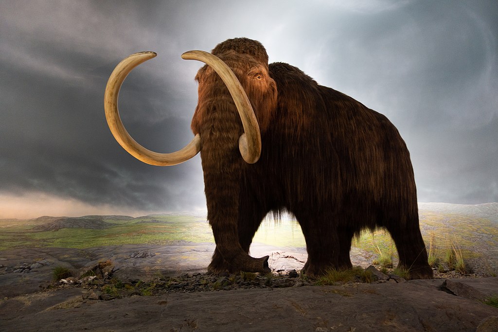 Mammoth by Thomas Quine